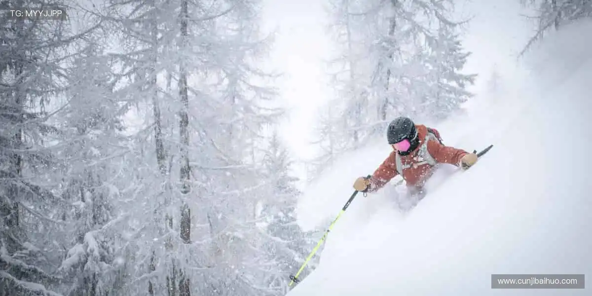 🎁🌟 限量周边，收藏你的热爱！